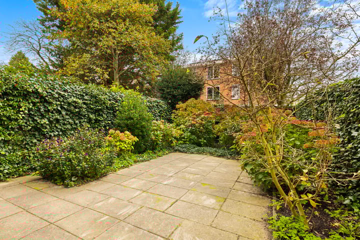 Photo 18 of Cornelis van Alkemadestraat 47