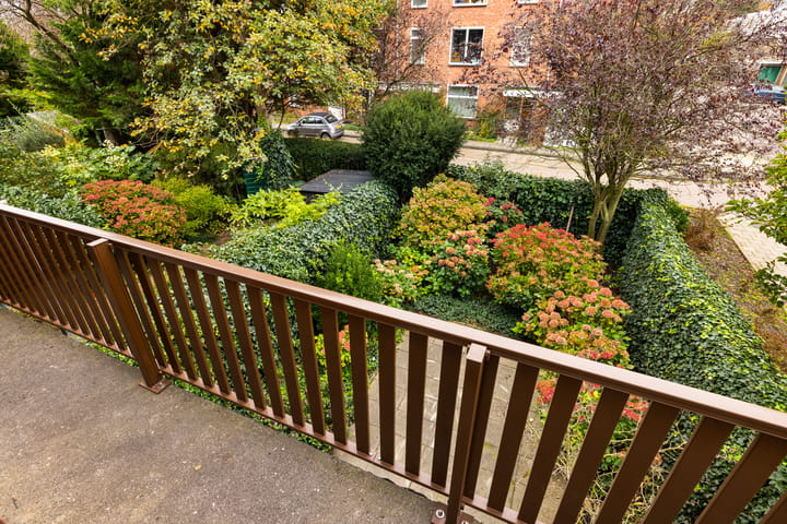 Photo 30 of Cornelis van Alkemadestraat 47