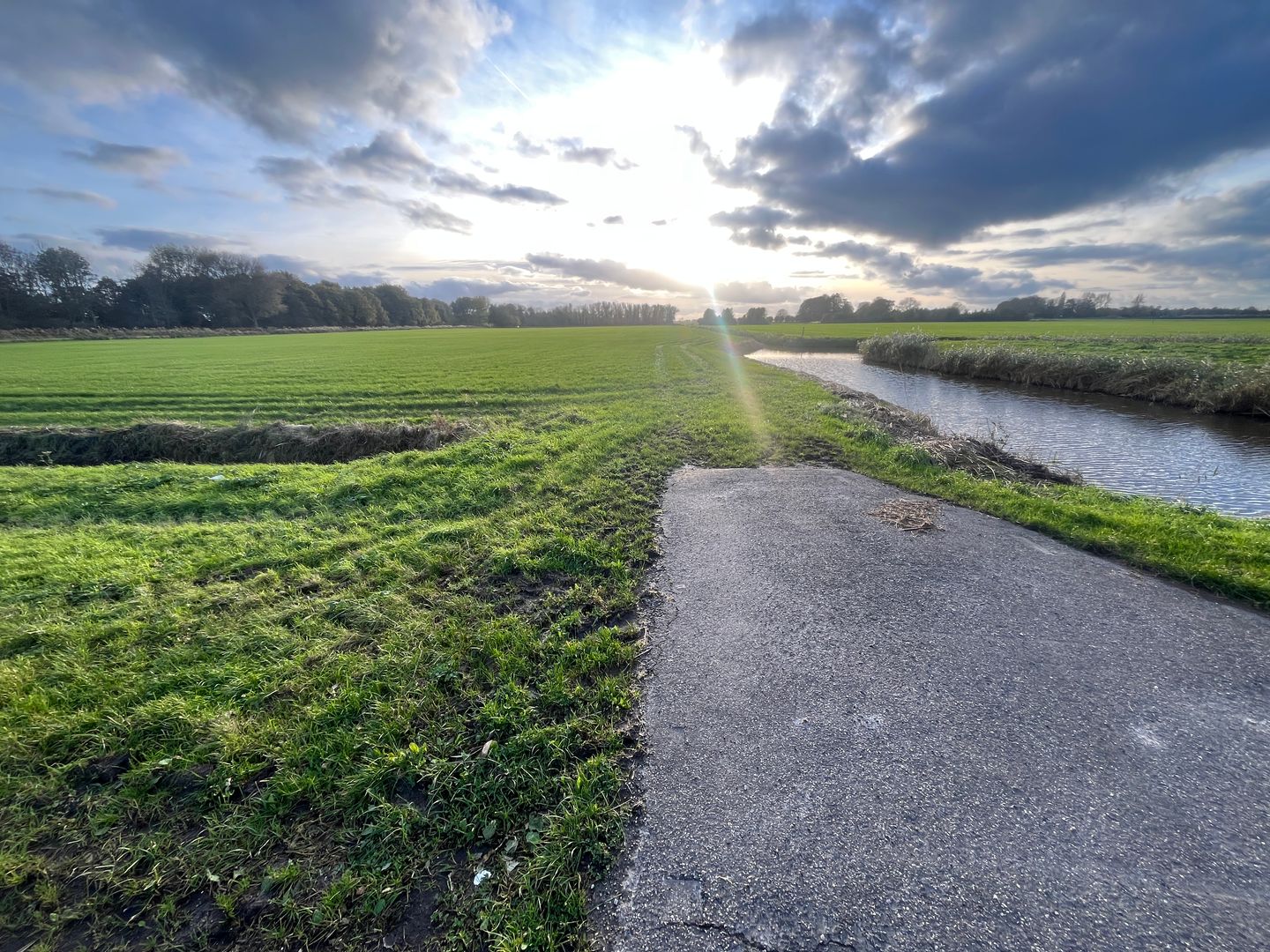 View photo 2 of Liederik