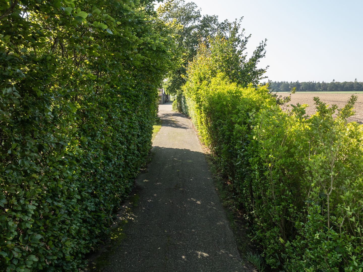 View photo 4 of Domeinweg 11