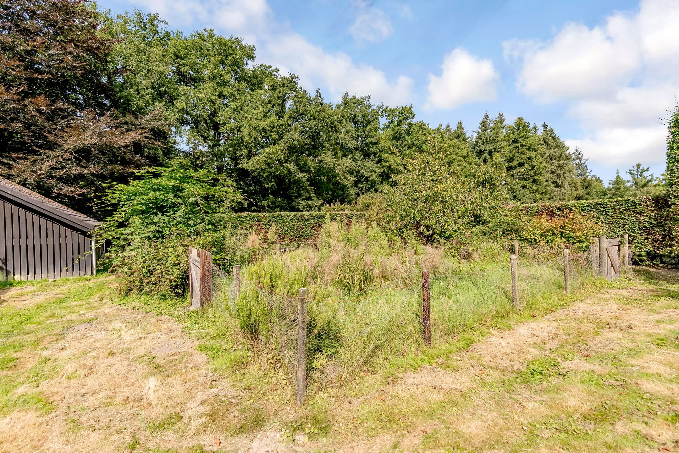 Foto 54 van Elspeterbosweg 125