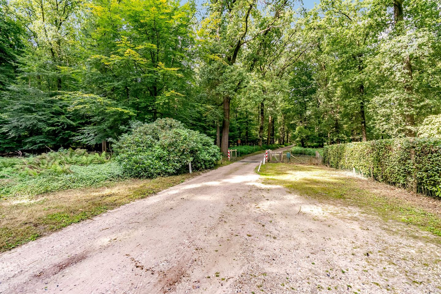 Foto 55 van Elspeterbosweg 125