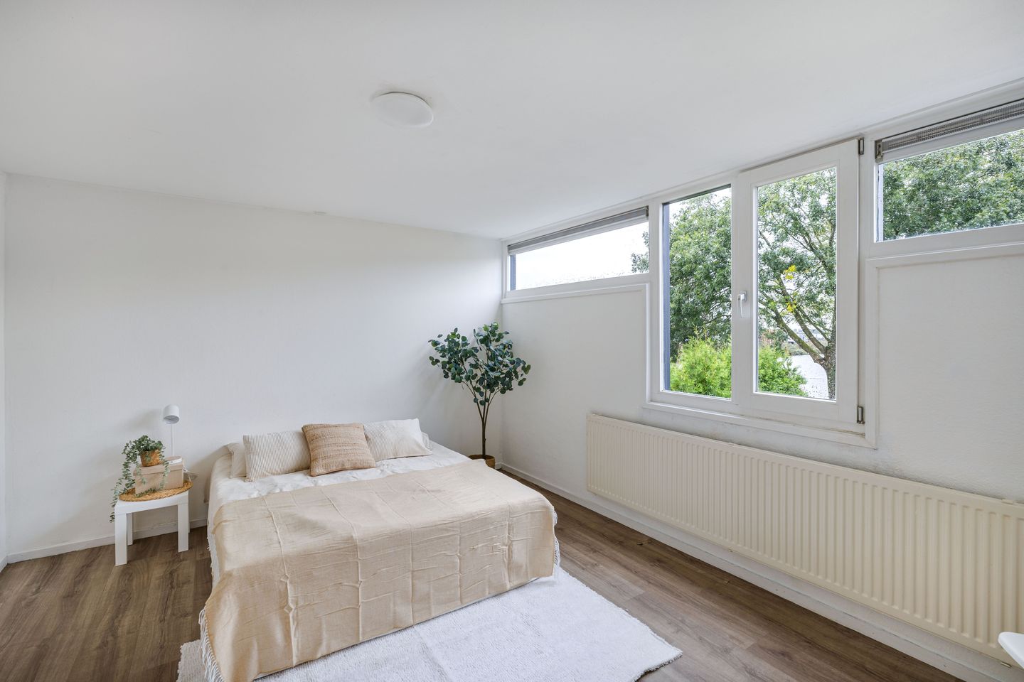 Foto 35 van Pallasstraat 98