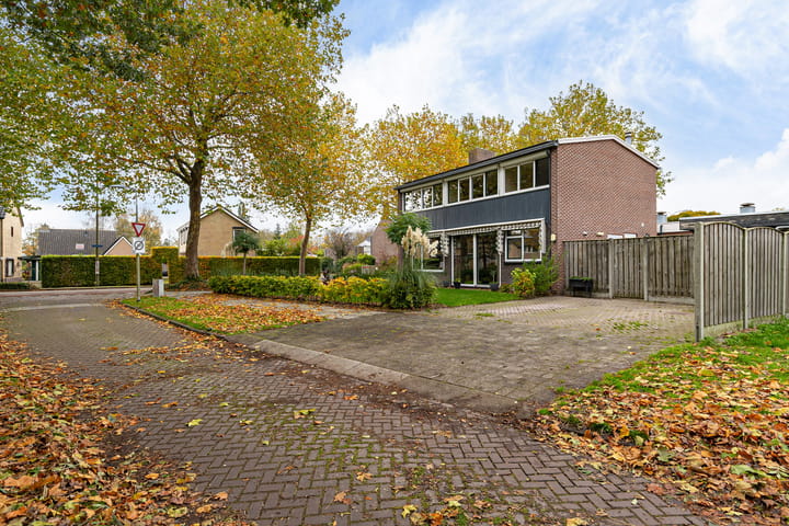 Photo 36 of Galamalaan 32