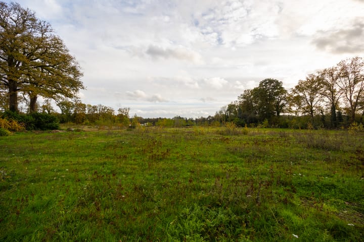 Foto 5 van Herikerweg 31