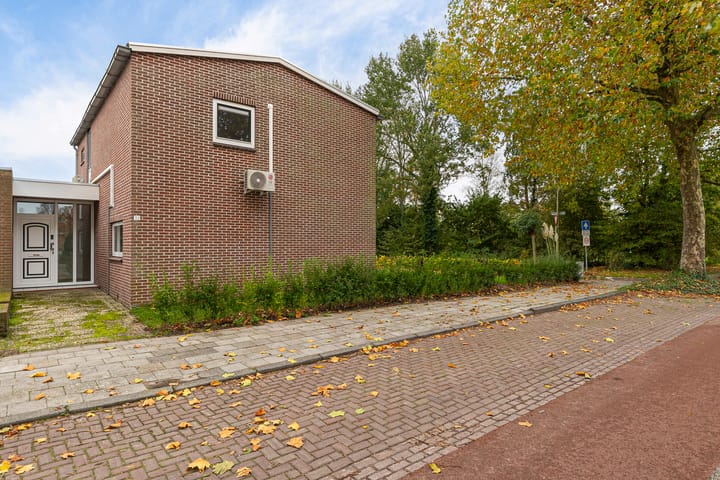 Photo 40 of Galamalaan 32