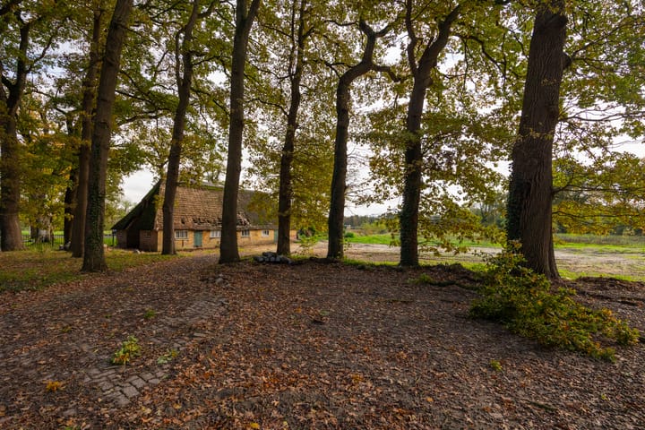 Foto 10 van Herikerweg 31