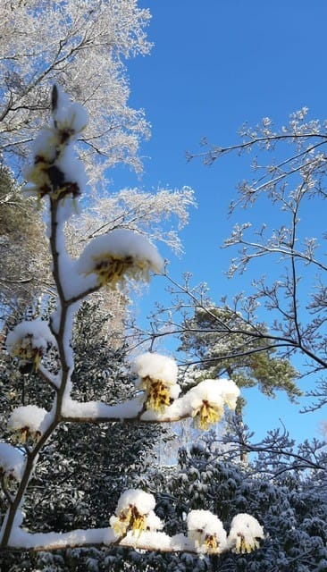 Foto 29 van Jan van Galenlaan 3