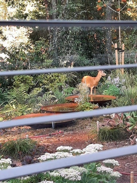 Foto 27 van Jan van Galenlaan 3