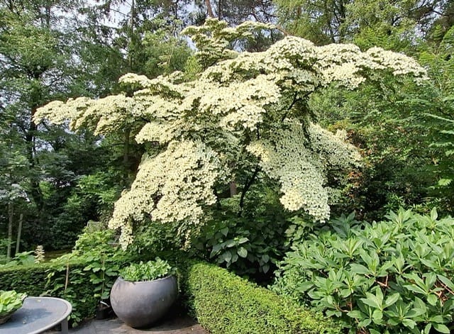 Foto 31 van Jan van Galenlaan 3