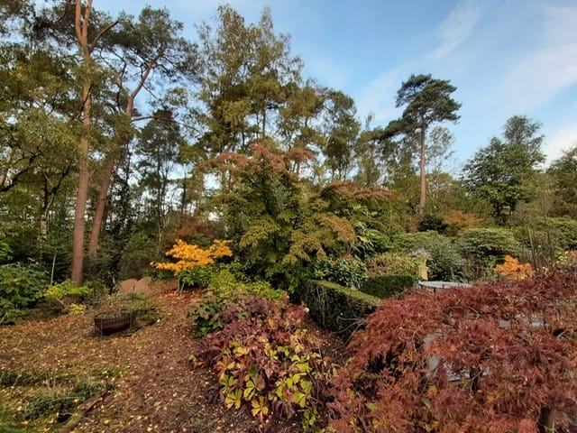 Foto 33 van Jan van Galenlaan 3