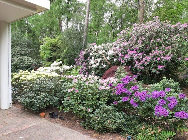 Foto 34 van Jan van Galenlaan 3