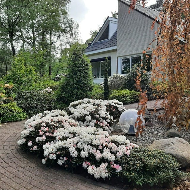 Foto 32 van Jan van Galenlaan 3