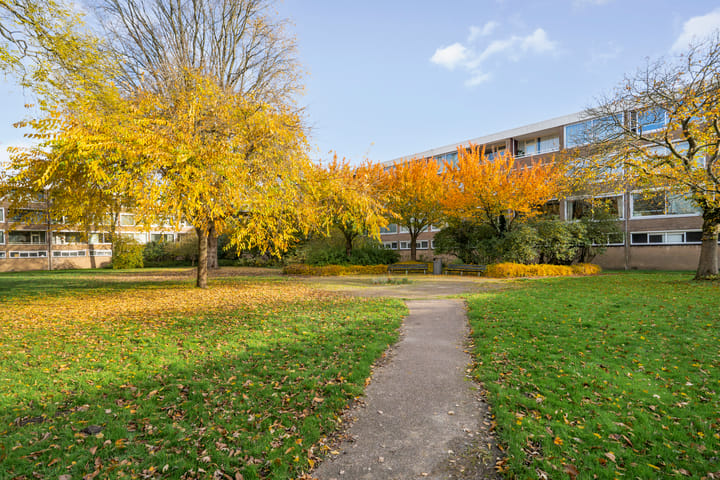 Foto 26 van Slangenburg 56