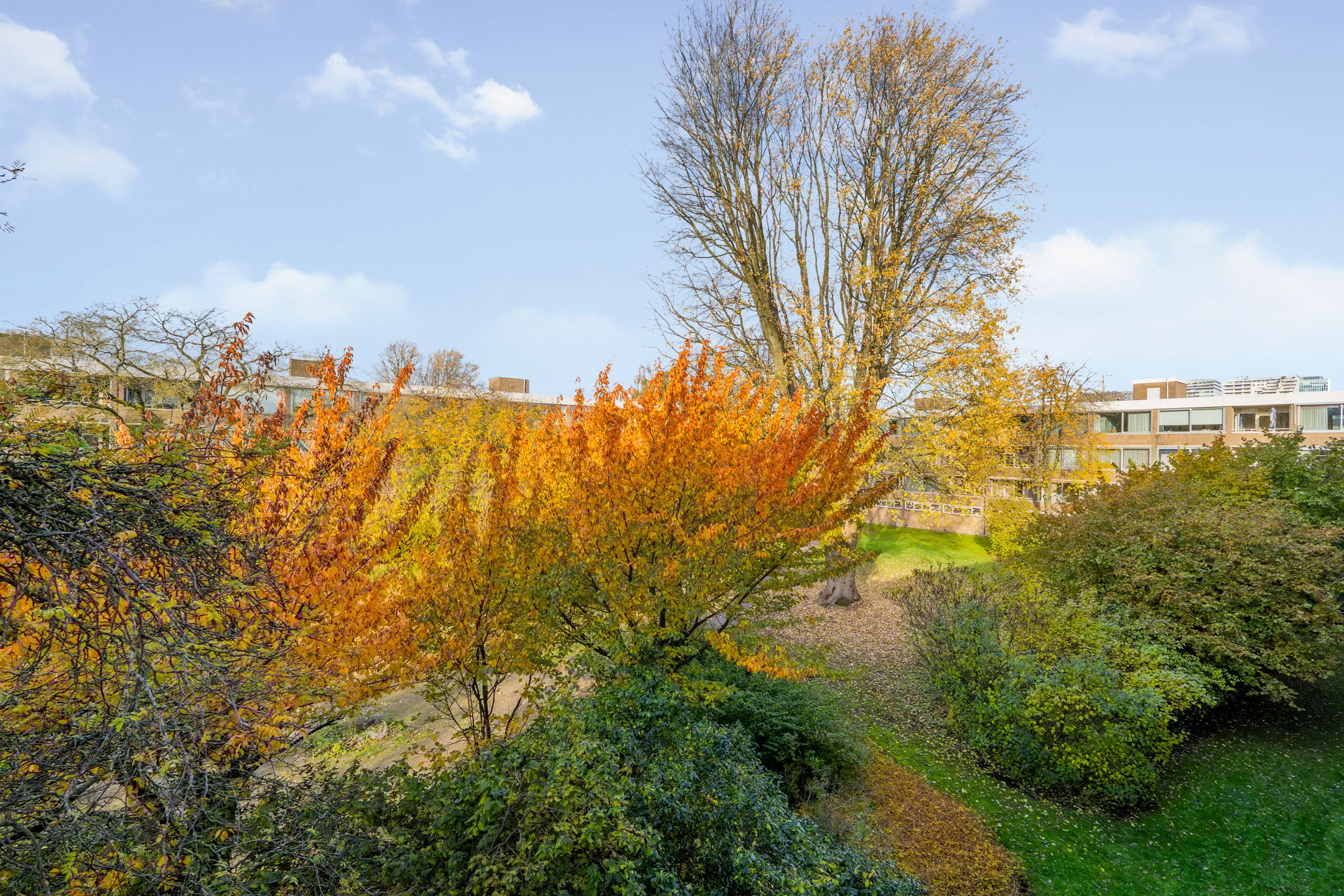 Foto 21 van Slangenburg 56