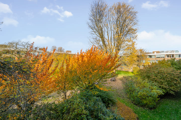 Foto 21 van Slangenburg 56