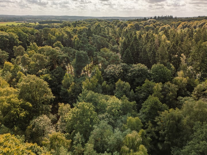 Foto 60 van Oude Kleefsebaan 148