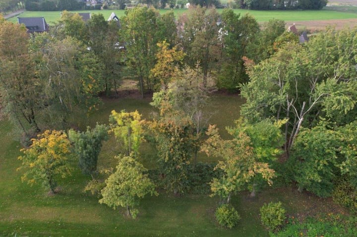 Foto 10 van Renseweg 31