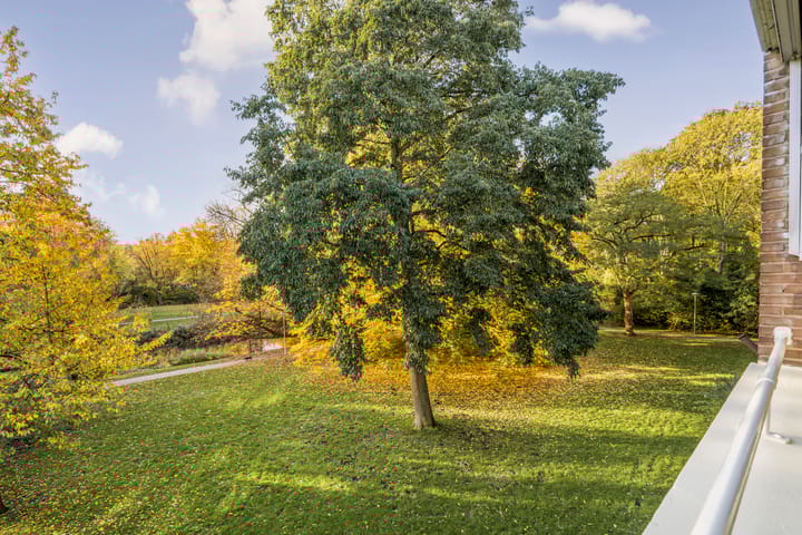 Foto 8 van Wildenborch 95