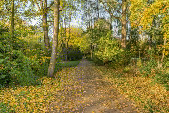 Foto 30 van Wildenborch 95