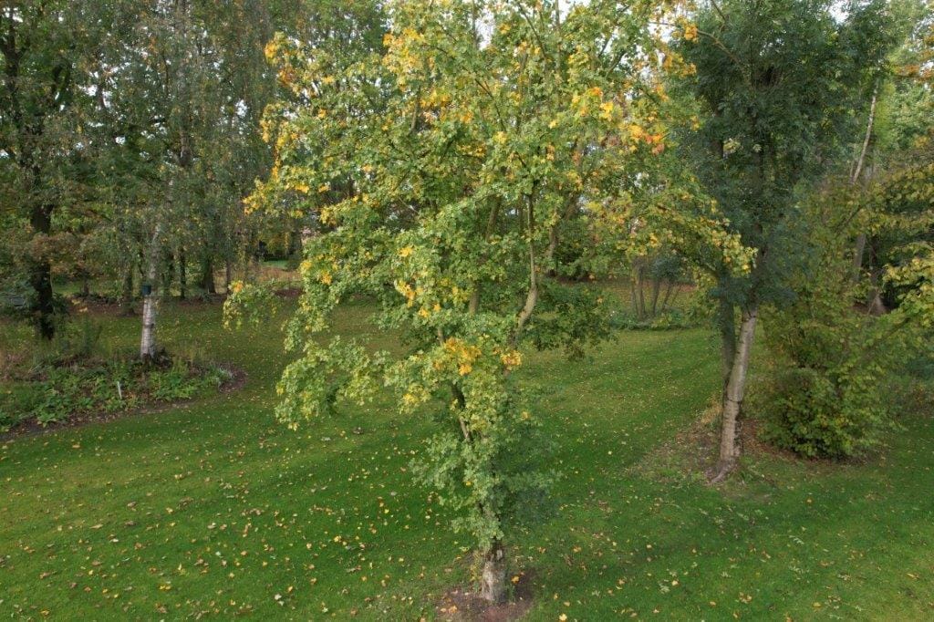 Photo 16 of Renseweg