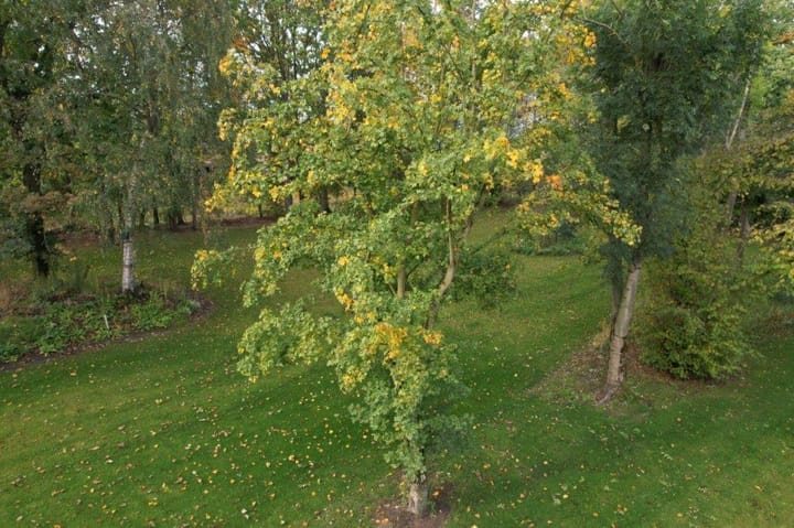 Foto 17 van Renseweg