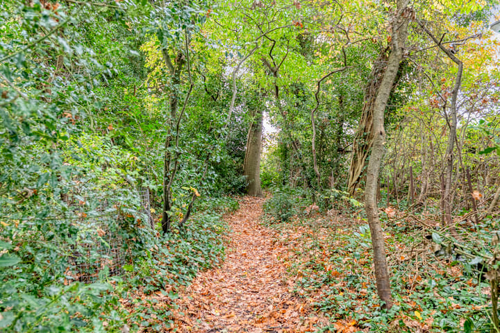 Photo 50 of De Esch 2