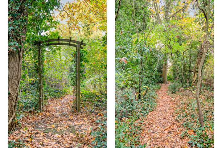 Photo 51 of De Esch 2