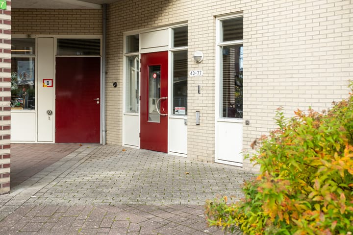 Foto 3 van Kolhoopstraat 55