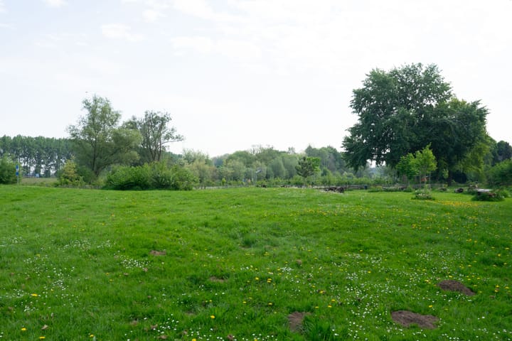 Foto 35 van Tuinlaan 24