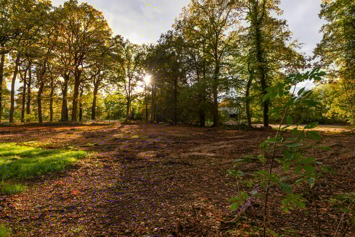 Herikerweg bij nummer 31 main image