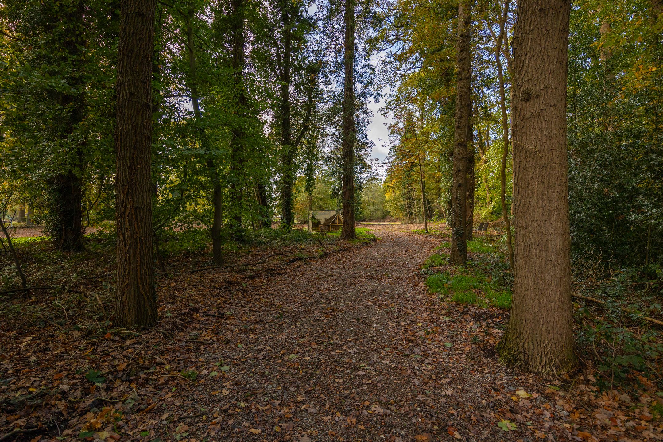 Foto 9 van Herikerweg bij nummer 31
