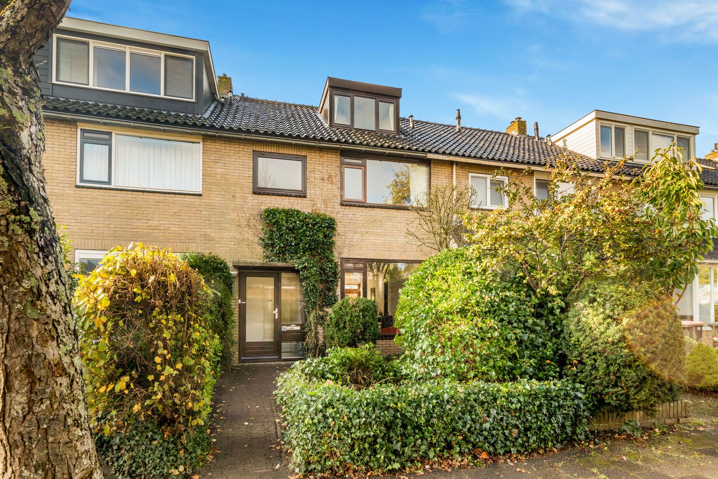 Foto 5 van Dag Hammarskjöldlaan 36