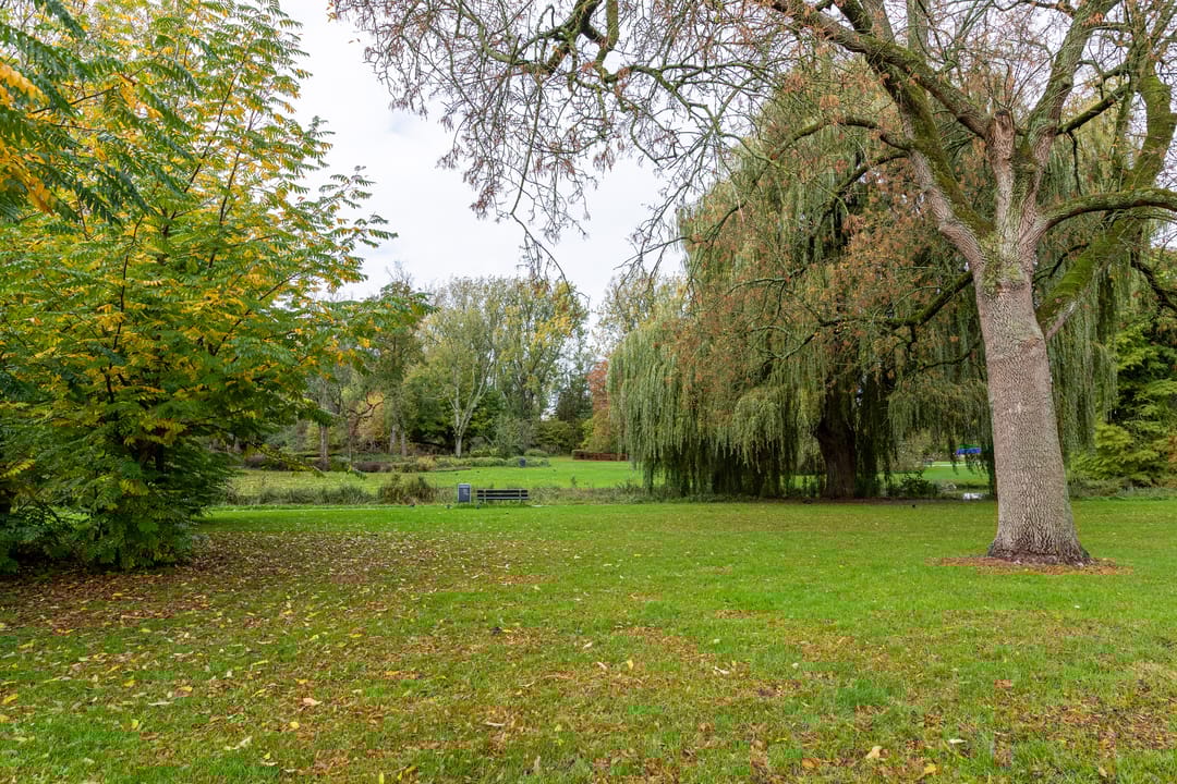 Foto 31 van Westplantsoen 126