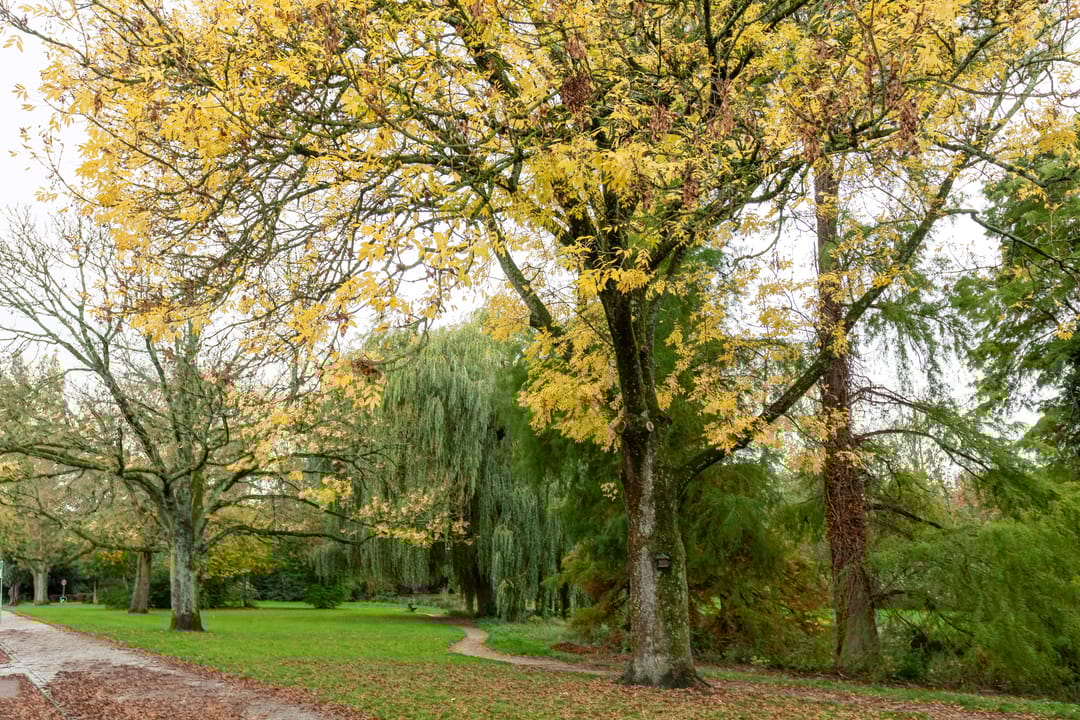 Foto 32 van Westplantsoen 126