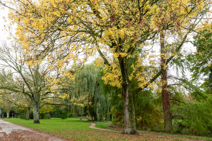 Photo 32 of Westplantsoen 126