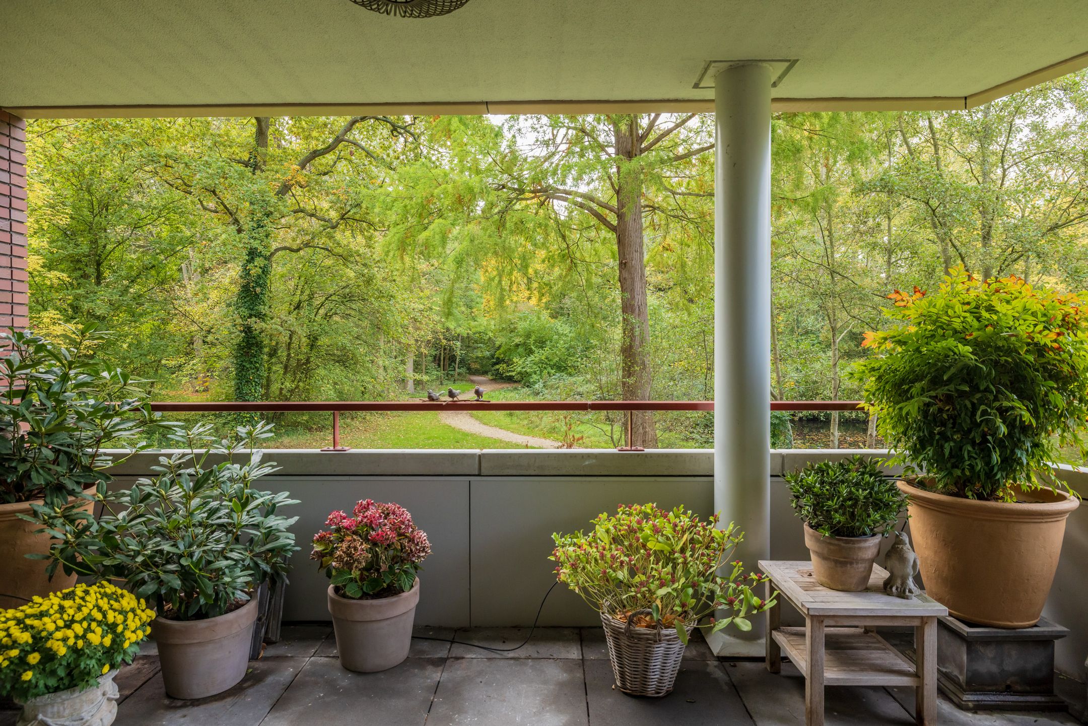 Foto 33 van Nieuweroord 66