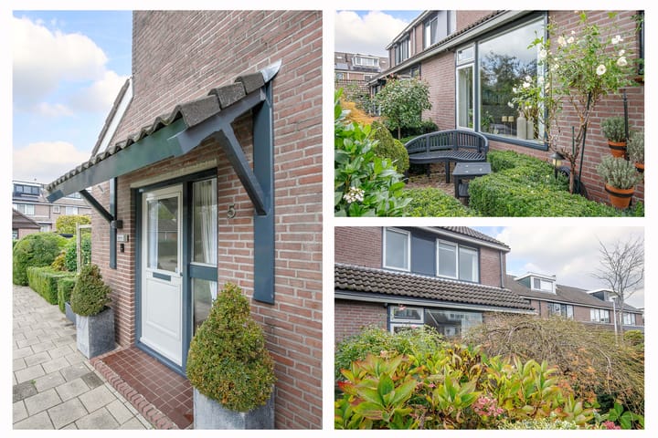 Photo 4 of Veenmos 5