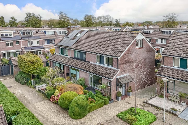 Foto 5 van Veenmos 5