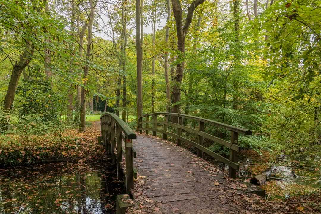 Foto 56 van Nieuweroord 66