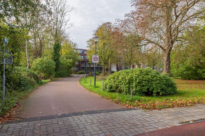 Foto 59 van Nieuweroord 66