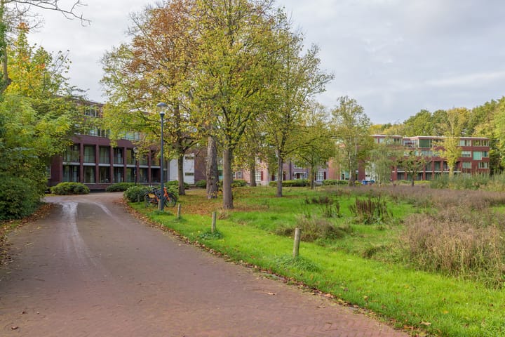 Foto 60 van Nieuweroord 66