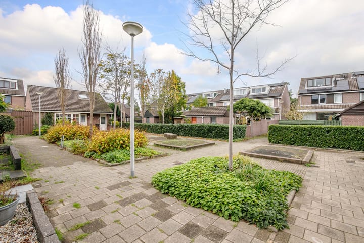 Foto 36 van Veenmos 5