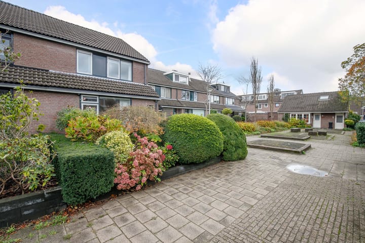 Foto 37 van Veenmos 5