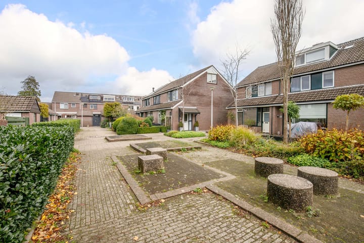 Foto 41 van Veenmos 5