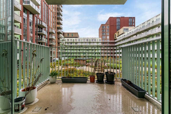 Photo 29 of Mangoweg 29