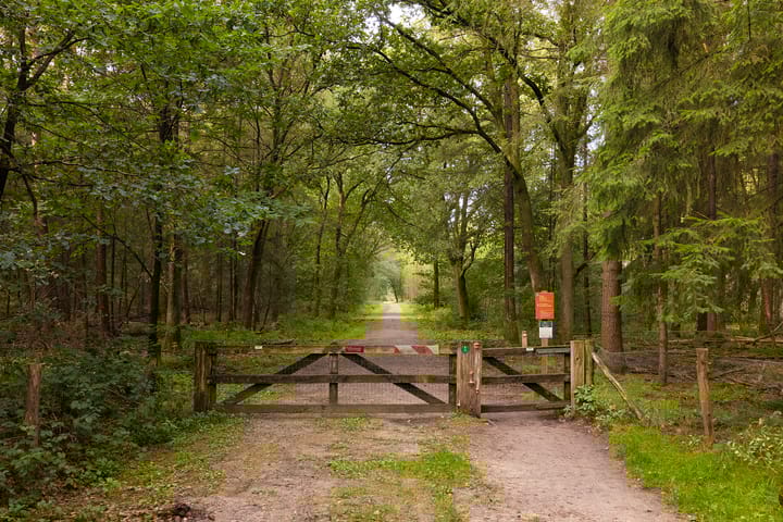 Photo 39 of Versteghehof 2