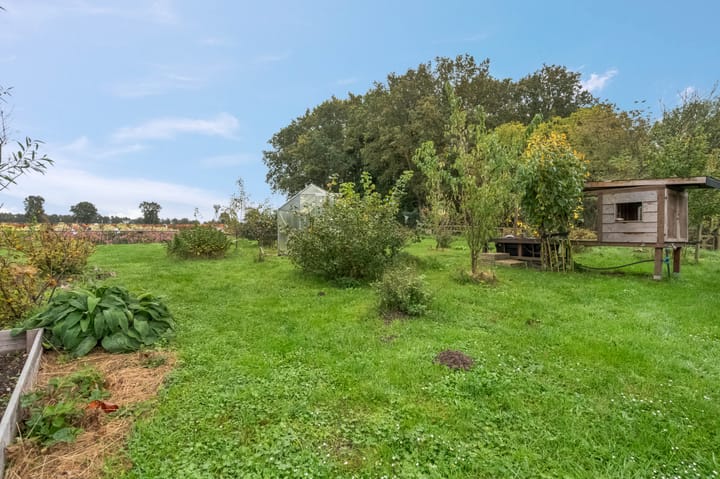 Foto 16 van Heetveld 53