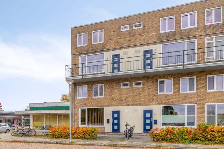 Foto 3 van Zuiderweg 149