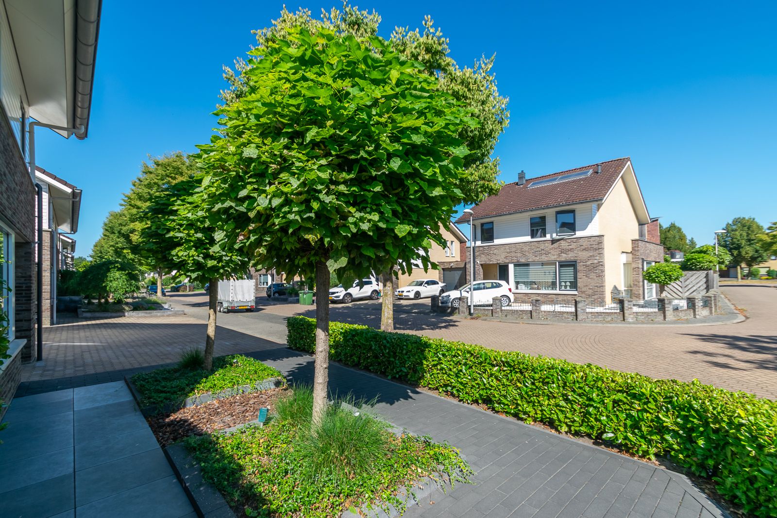 Foto 45 van Kolblei 11